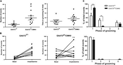 Altered <mark class="highlighted">Grooming</mark> Syntax and Amphetamine-Induced Dopamine Release in EAAT3 Overexpressing Mice